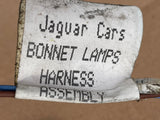 Jaguar XJ40 Under Bonnet Lamp set with wiring link loom 93MY
