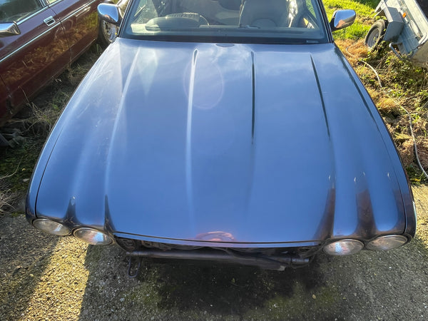 Daimler Jaguar X300 X308 Bonnet Hood LFA Titanium Pearl (Grey)