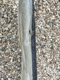 Jaguar XJ40 Under Bonnet Liner 93-94 version