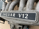 Daimler Double Six JaguarXJ12 XJ40 XJ81 XJS 6.0 V12 Inlet Manifolds with Throttle Bodies