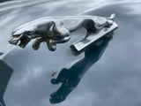 Jaguar X300 X308 XJ40 Bonnet Hood Leaper Leaping Cat Mascot