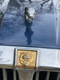 94 Jaguar XJ6 XJ40 3.2 Manual Gold JGE AEE BREAKING