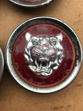 Jaguar X300 X308 XK8 XJ40 Growler wheel badges x4.