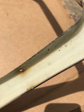JAGUAR XJ40 XJ6 Front Radiator Grill Surround