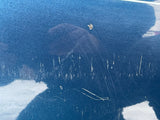 Jaguar X300 SWB RH Rear Drivers Side/ Off Side Rear Door