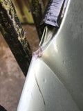Daimler Jaguar XJ40 Bonnet HEV JADE GREEN RUST FREE Collection Batley West Yorkshire