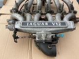 Daimler Double Six JaguarXJ12 XJ40 XJ81 XJS 6.0 V12 Inlet Manifolds with Throttle Bodies