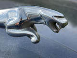 Jaguar X300 X308 XJ40 Bonnet Hood Leaper Leaping Cat Mascot (Spring Loaded type)