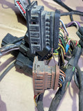 Jaguar X300 1994MY Wiring Loom Airbag harness. Left side front, under the left wing