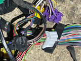 Jaguar XJ40 RHD Main Wiring Loom Harness 91-92 Model Year
