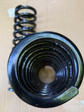 Jaguar XJ40 X300 6cyl Front Springs- powder coated/ reconditioned