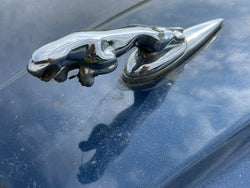 Jaguar X300 X308 XJ40 Bonnet Hood Leaper Leaping Cat Mascot (Spring Loaded type)