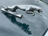 Jaguar X300 X308 XJ40 Bonnet Hood Leaper Leaping Cat Mascot