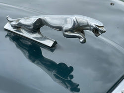 Jaguar X300 X308 XJ40 Bonnet Hood Leaper Leaping Cat Mascot