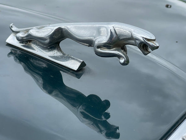 Jaguar Motor Car Leaping Cat Leaper Bonnet Hood Ornament Badge Photograph Print